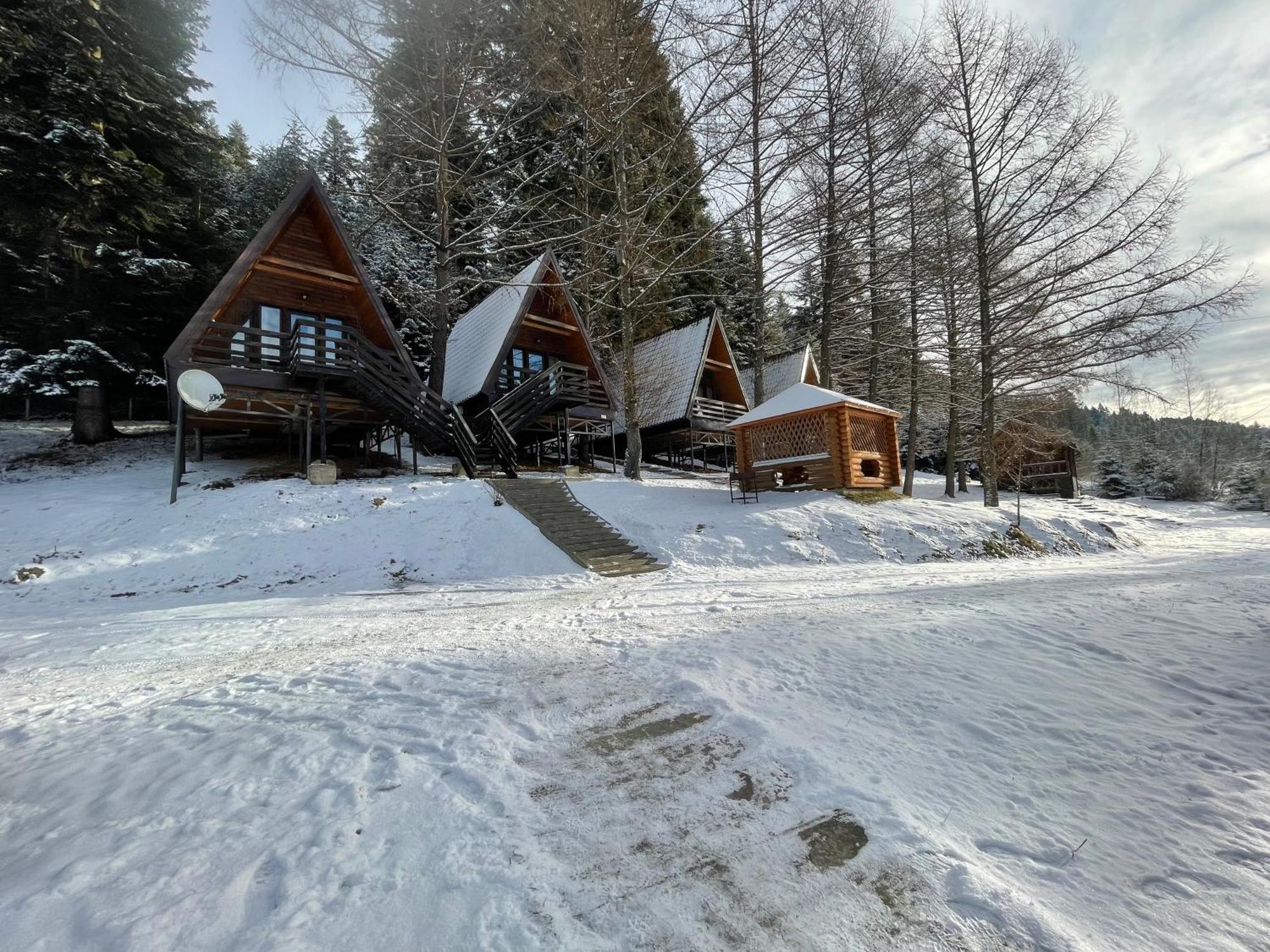 Karpatskyy Villa Rozluch Екстериор снимка
